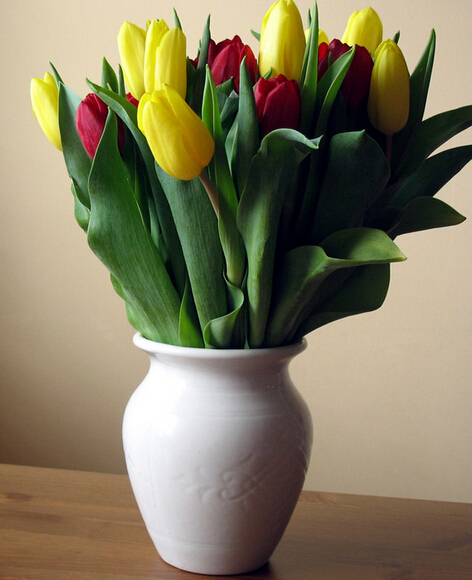 蘭陵美酒郁金香，擺在客廳會致禿頂！