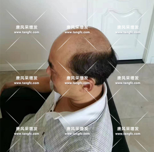 老年短假發(fā)全真發(fā)的好嗎？ 主要是用來遮白發(fā)的！