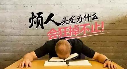 最近很少晚睡，脫起發(fā)來卻沒商量！