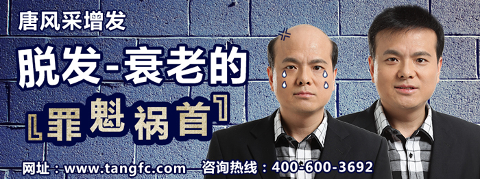 真發(fā)假發(fā)品牌哪家好 \